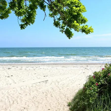 Apartment Strandnahe Rex Rugia Fewo: Seaside With Ahoi Experience