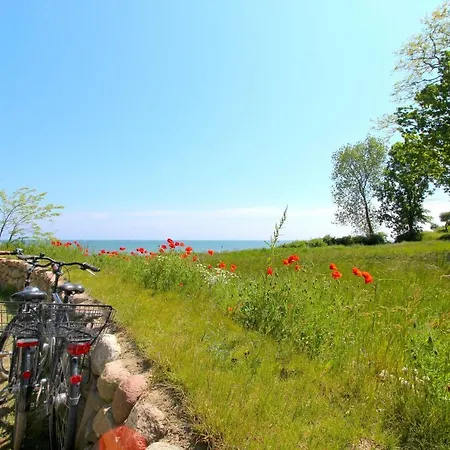 Appartement Strandnahe Mit Terrasse, Gratis Nutzung Vom Ahoi Erlebnisbad Und Sauna In Sellin - Rex Rugia 14-2 *